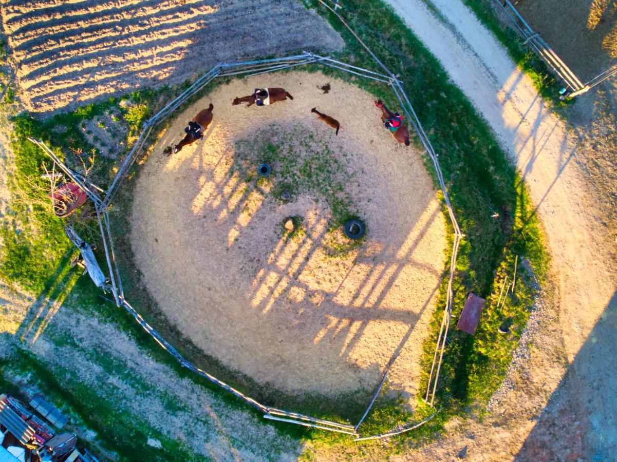 Gospodarstwo Agroturystyczne "Paryja" Olpiny Exterior foto