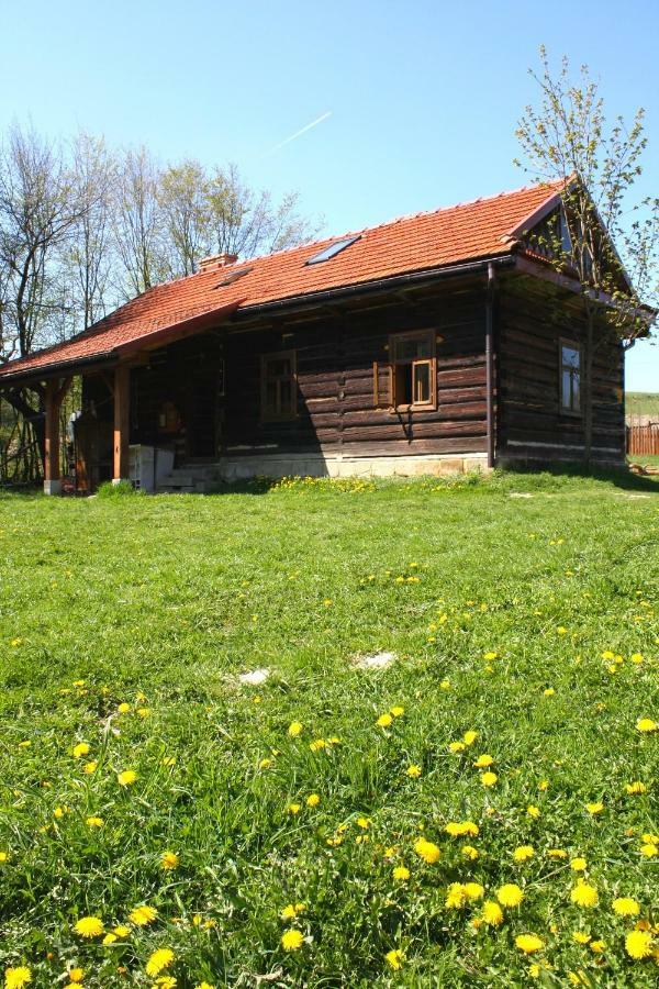 Gospodarstwo Agroturystyczne "Paryja" Olpiny Exterior foto